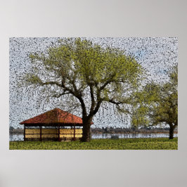 Lake Wendouree Pavilion Ballarat Poster