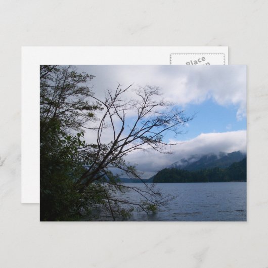 Lake Whatcom Postkarte (Vorne/Hinten)