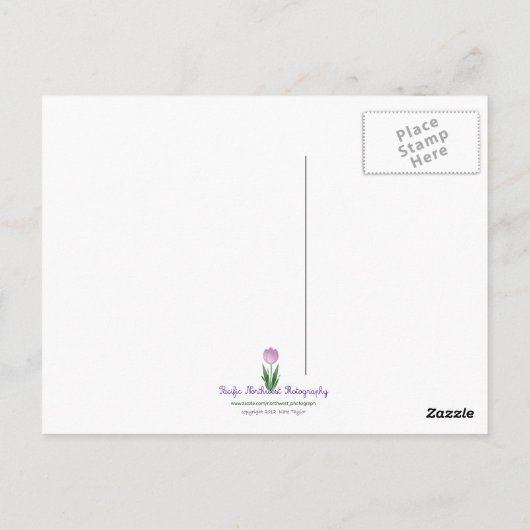 Lake Whatcom Postkarte (Rückseite)