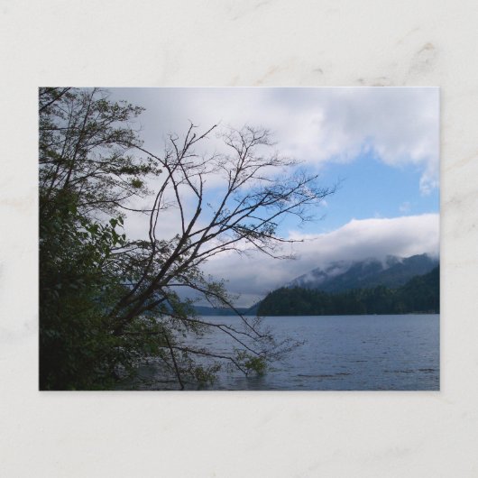 Lake Whatcom Postkarte (Vorderseite)