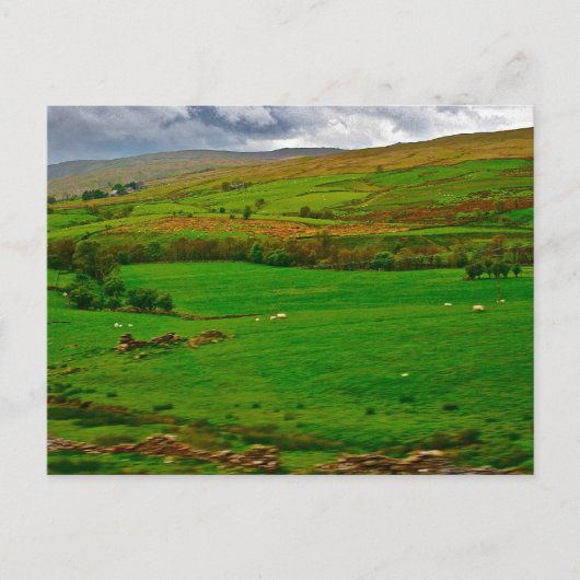 Lake Windermere England Postkarte (Vorderseite)