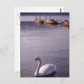 Lake Windermere Postkarte (Vorne/Hinten)