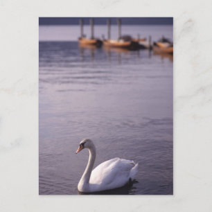 Lake Windermere Postkarte