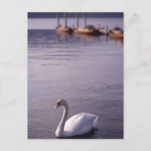 Lake Windermere Postkarte (Vorderseite)