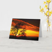 Lake Winnebago Sunset Denken Sie an Sie Karte (Gelbe Blume)