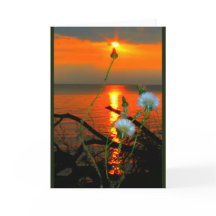 Lake Winnebago Sunset Jede Occasion Card