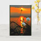 Lake Winnebago Sunset Jede Occasion Card Karte (Gelbe Blume)