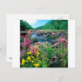 Lake Wisconsin River Ice Age Reserve Wisconsin Postkarte (Vorne/Hinten)