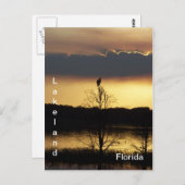 Lakeland Florida Sunset 139 Postkarte (Vorne/Hinten)