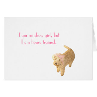 Lakeland Terrier