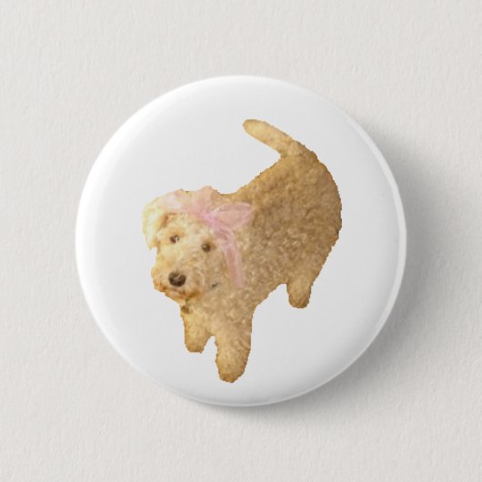 Lakeland Terrier Button (Vorderseite)
