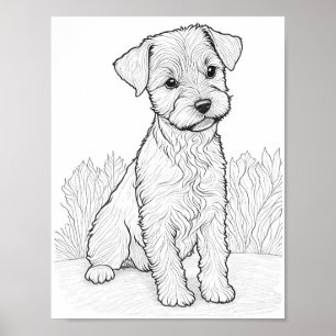 Lakeland Terrier Dog Aduloring Poster