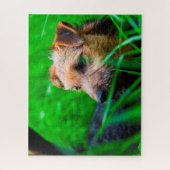 Lakeland Terrier Dog. Puzzle (Vertikal)