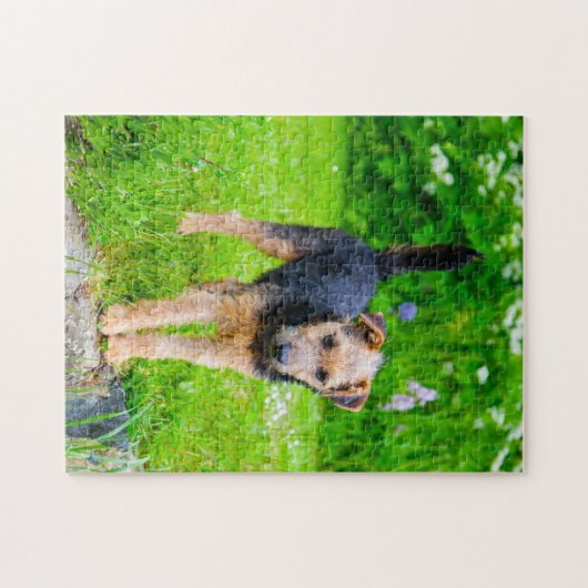 Lakeland Terrier Dog. Puzzle (Horizontal)