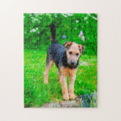 Lakeland Terrier Dog. Puzzle (Vertikal)