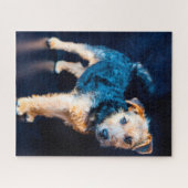 Lakeland Terrier Dog. Puzzle (Horizontal)