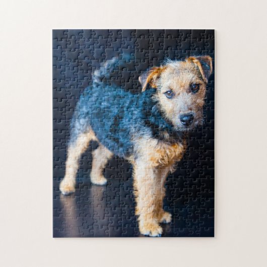 Lakeland Terrier Dog. Puzzle (Vertikal)