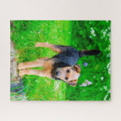 Lakeland Terrier Dog. Puzzle (Horizontal)