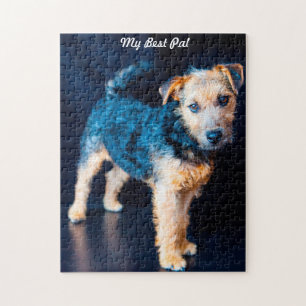 Lakeland Terrier Dog. Puzzle