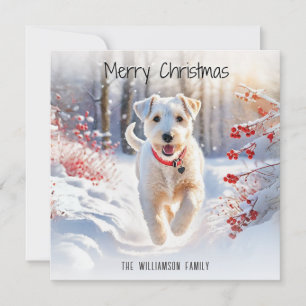 Lakeland Terrier Dog Winter Snow Frohe Weihnachten