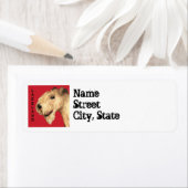 Lakeland Terrier Farbblock (Insitu)