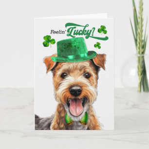 Lakeland Terrier fühlt sich am St. Patrick's Day g Feiertagskarte