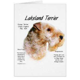 Lakeland Terrier History Design