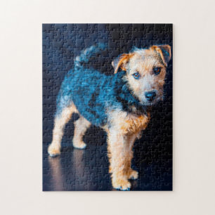 Lakeland Terrier Hund. Puzzle
