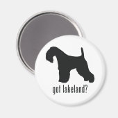 Lakeland Terrier Magnet (Vorderseite/Rückseite)