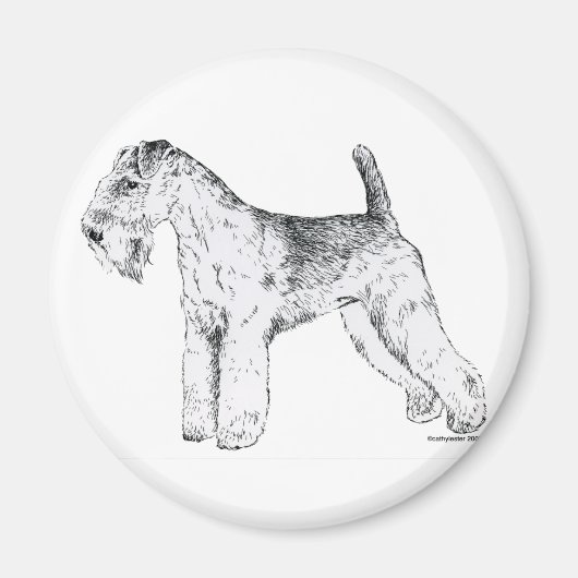 Lakeland Terrier Magnet (Vorne)