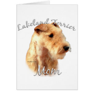 Lakeland Terrier Mama 2