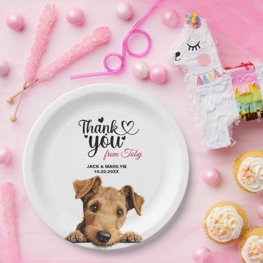 Lakeland Terrier Pappteller (Party)