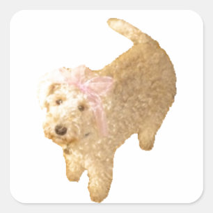 Lakeland Terrier Quadratischer Aufkleber