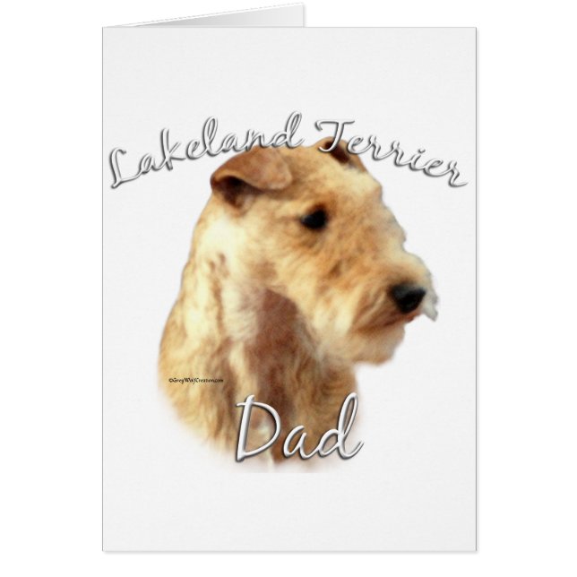 Lakeland Terrier Vater 2 (Vorne)