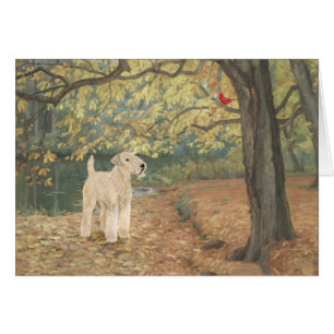 Lakeland Terrier Vogelbeobachtung