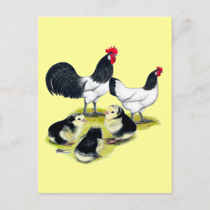 Lakenvelder Chicken Family Postkarte