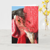 Lakenvelder Rooster Face Karte (Gelbe Blume)