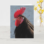 Lakenvelder-Rooster Karte (Gelbe Blume)