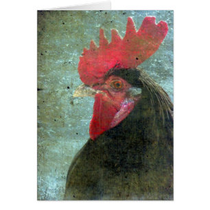 Lakenvelder Rooster mit Textur