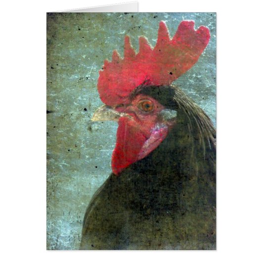 Lakenvelder Rooster mit Textur (Vorne)