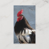 Lakenvelder Rooster Visitenkarte (Rückseite)