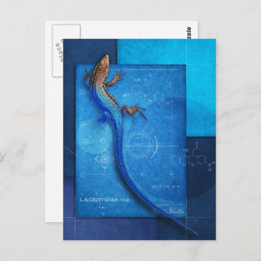 Lakertidae v1.2 postkarte (Vorne/Hinten)