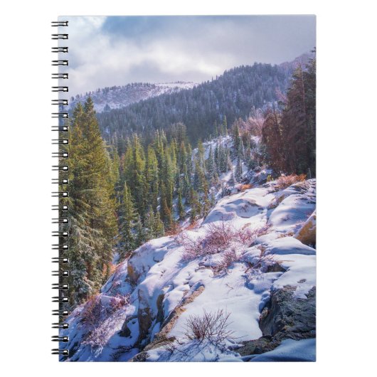 Lakes Basin Wanderheft – Sierra-Gebirge Notizblock (Vorderseite)