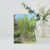 Lakeside Bamboo Postkarte (Stehend Vorderseite)