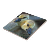 Lakeside Fliese (Seite)