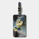 Lakeside Gepäckanhänger (Vorderseite vertikal)