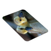 Lakeside Magnet (Rechte Seite)