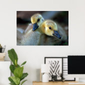 Lakeside Poster (Heimbüro)