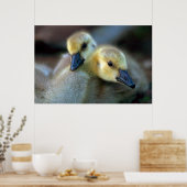 Lakeside Poster (Küche)