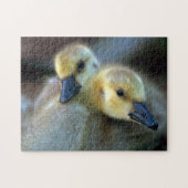 Lakeside Puzzle (Horizontal)